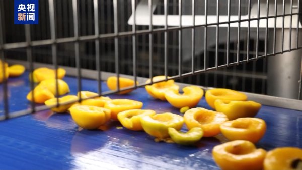 美林配资 美加征30%关税进入倒计时&#32;欧洲果农酒商担忧产品滞销